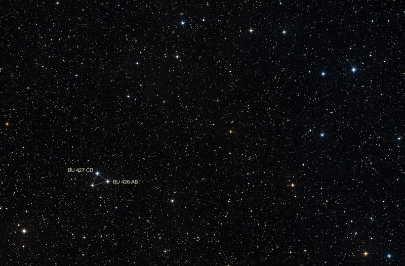 cygni100_bu426_es68_800.jpg